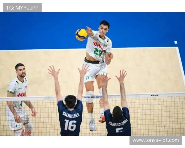 沪浙两连胜领跑男排 A 级联赛,京闽遭遇开门黑