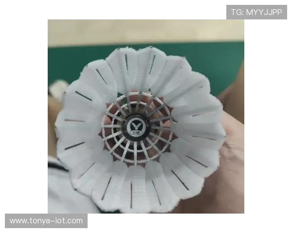 羽毛球价格两年翻倍！碳音球成训练刚需遭抢购断货